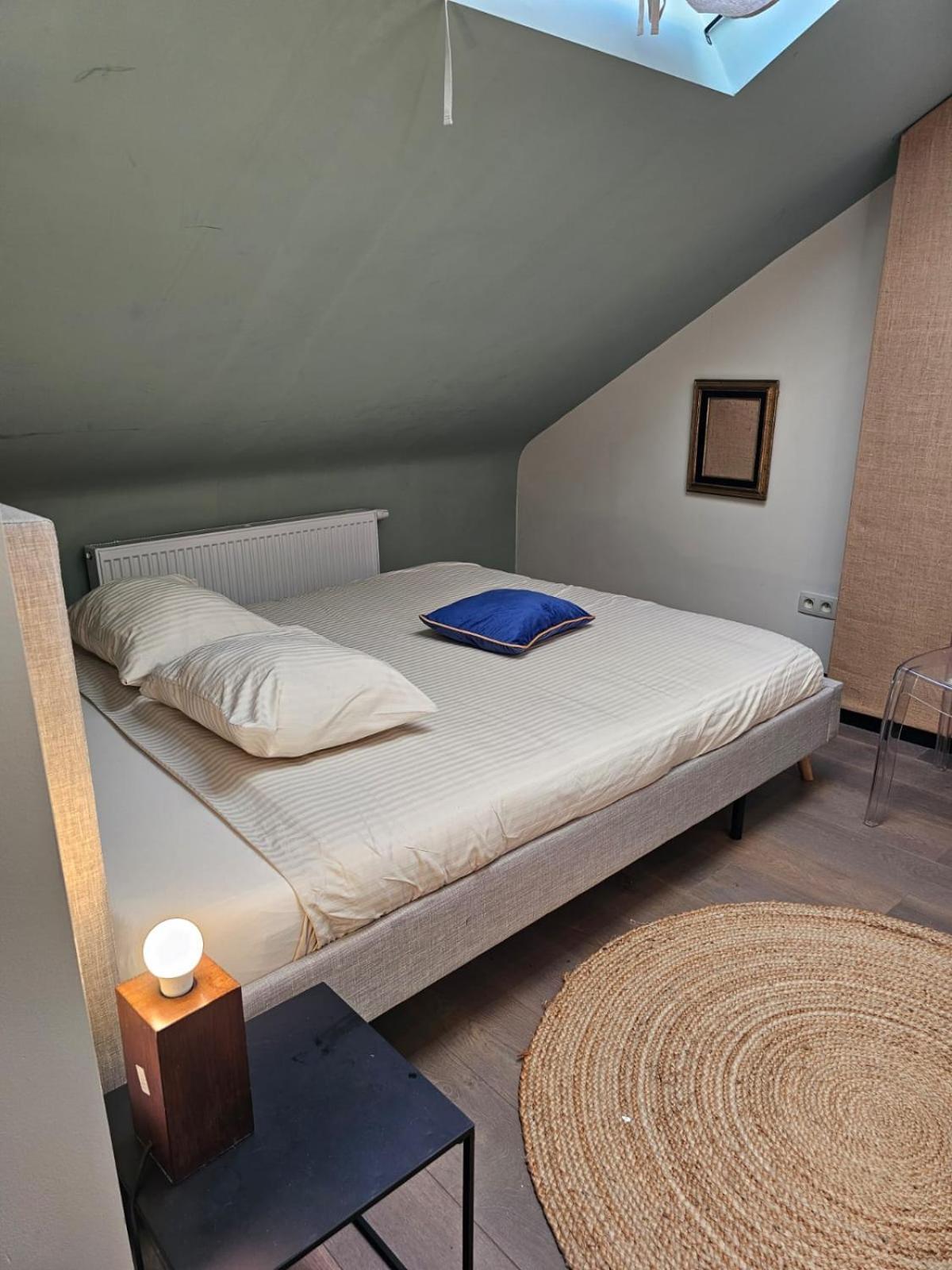 Appartement Sympathique دينانت المظهر الخارجي الصورة